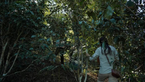 区域擦除操作 edited