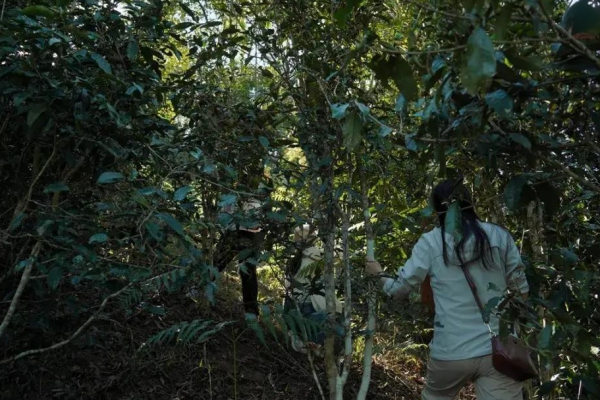 区域擦除操作 edited