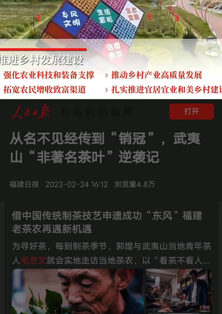 金牡丹详情03 01