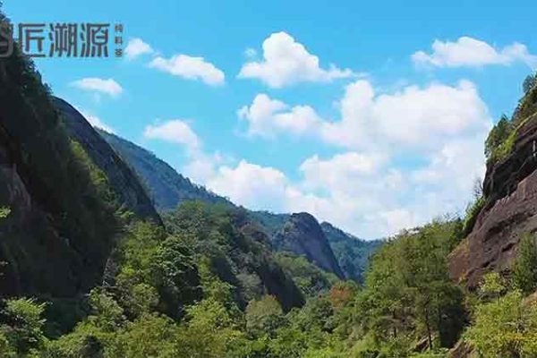 03 封面图 e1766743262517